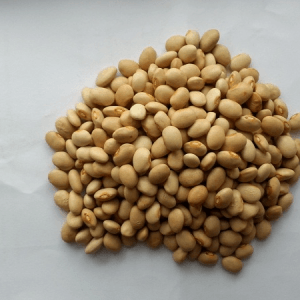 Ethiopian Light Brown Kidney Beans / Bolita Beans