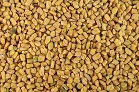 ETHIOPIAN FENUGREEK