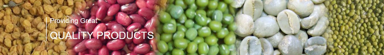 Ethiopian beans export company