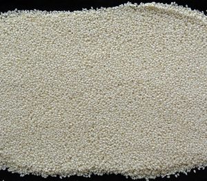 Hulled sesame seeds