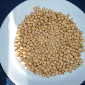 SOYA BEANS