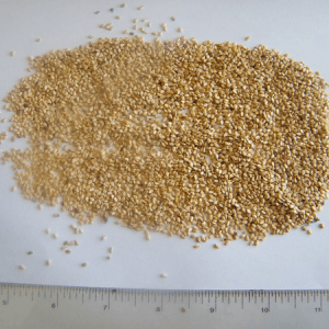Wollega type sesame seed