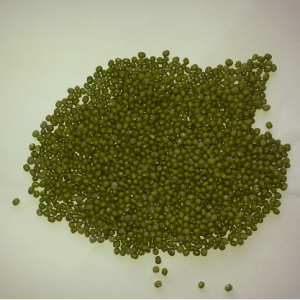 Ethiopian Green Mung Beans