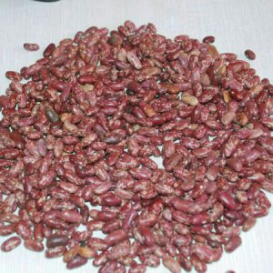 ETHIOPIAN RED SPECKLED KINDEY BEANS